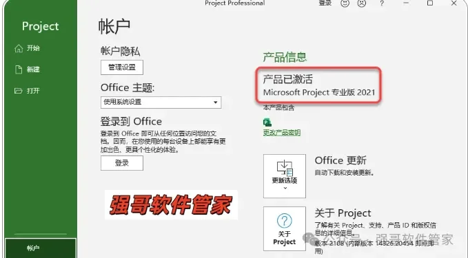 Project 2021安装包+安装教程 软件截图