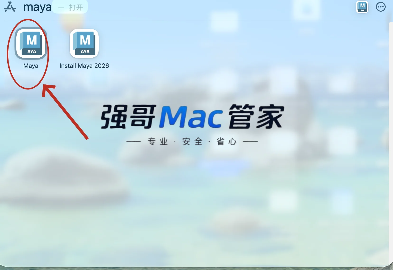 Maya 2026 for Mac安装包+安装教程安装教程配图 22