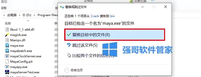 11.png