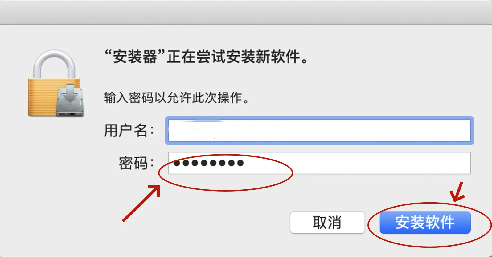 12.png