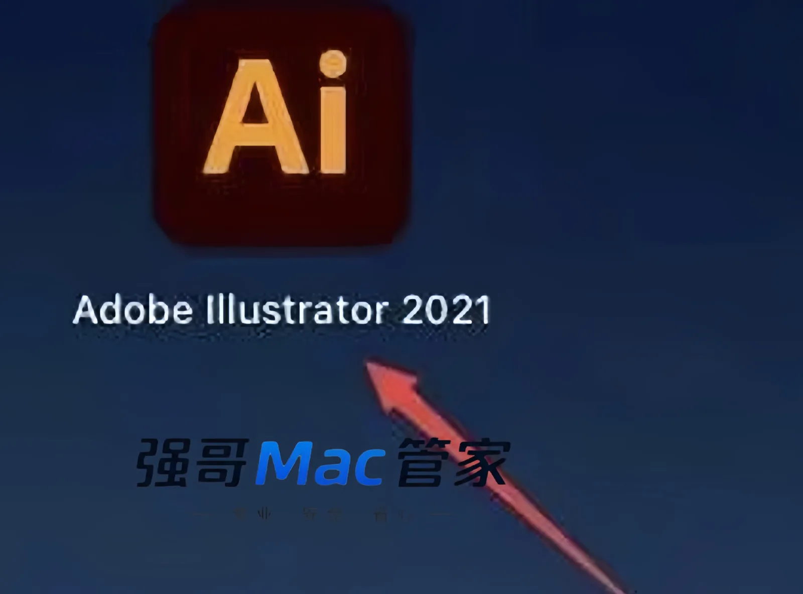 11.png